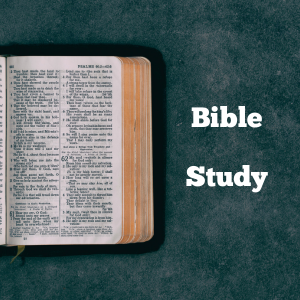 Bible Study Groups